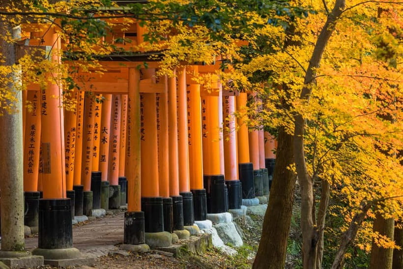 From Kyoto/Osaka: Kyoto Top Highlights 1-Day Guided Bus Tour - Kinkaku-ji Golden Pavilion, gardens, and what you can actually see in 45 minutes