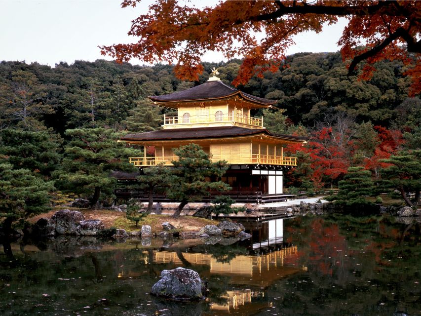 From Kyoto/Osaka: Kyoto Top Highlights 1-Day Guided Bus Tour - Arashiyama and Sagano Bamboo Forest, plus Katsura River time
