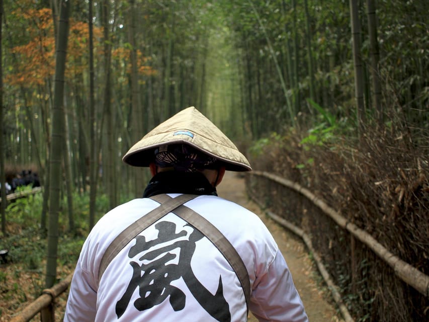 From Kyoto/Osaka: Kyoto Top Highlights 1-Day Guided Bus Tour - The A/C coach, Wi-Fi, and the guide factor that changes everything