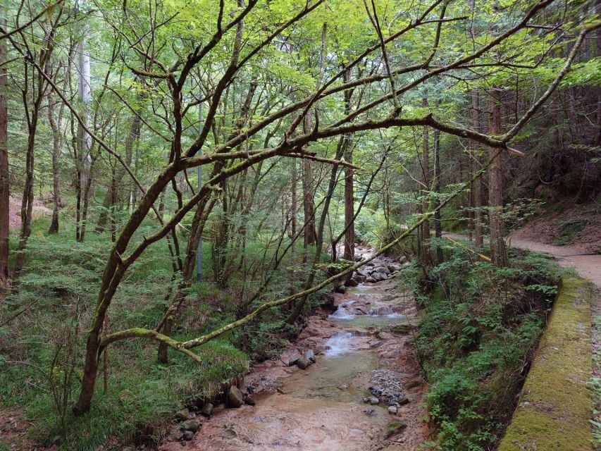 From Matsumoto/Nagano: Nakasendo Trail Walking Tour - Who should book this (and who should skip it)