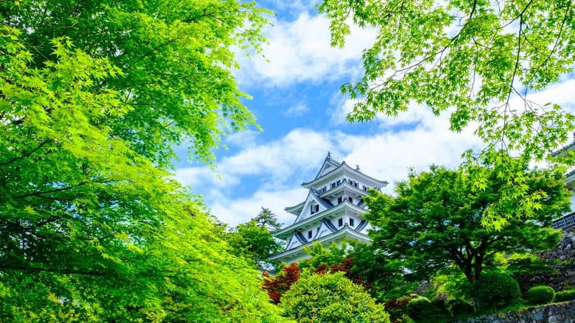 From Nagoya: Gujo, Hida Takayama, and Shirakawa-go Day Tour - Should you book this Nagoya day tour?