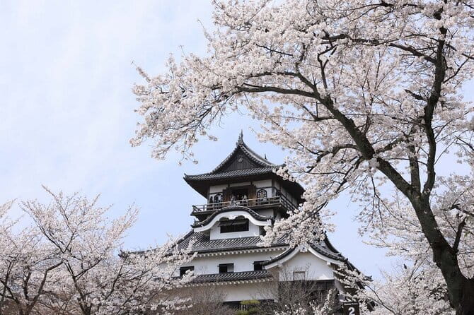 From Nagoya: Samurai Swords and Inuyama Castle Private Tour - From Nagoya to Seki and Inuyama: why this day feels special