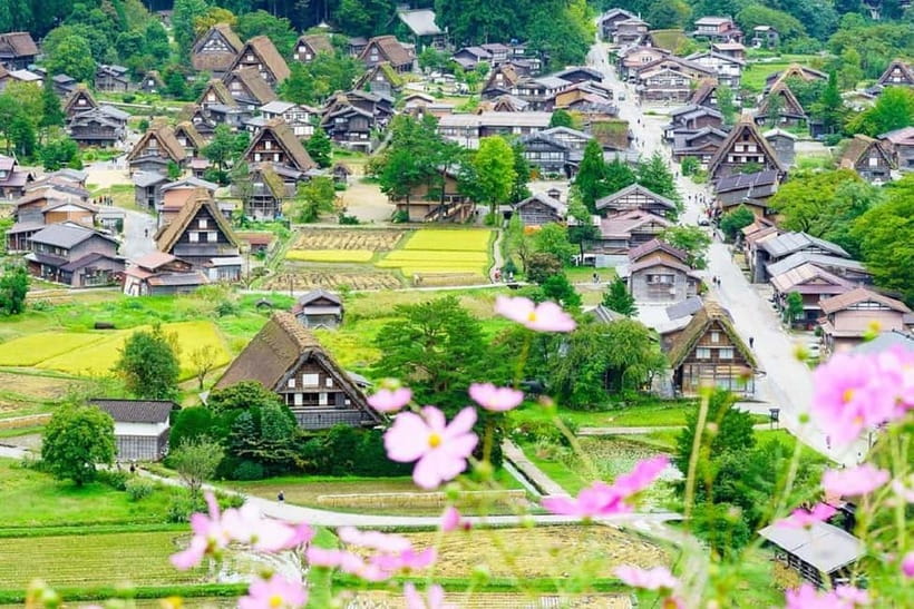 From Nagoya: Shirakawa-go & Hida-Takayama Full Day Trip - Takayama’s Sanmachi Old Town: The Edo Street Walk That’s Actually Fun