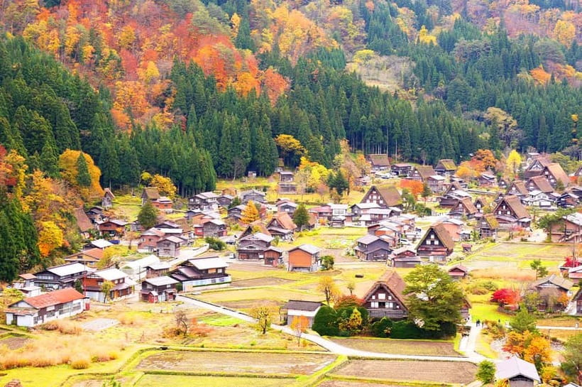 From Nagoya: Shirakawa-go & Hida-Takayama Full Day Trip - Who This Tour Fits Best (and Who Should Rethink It)