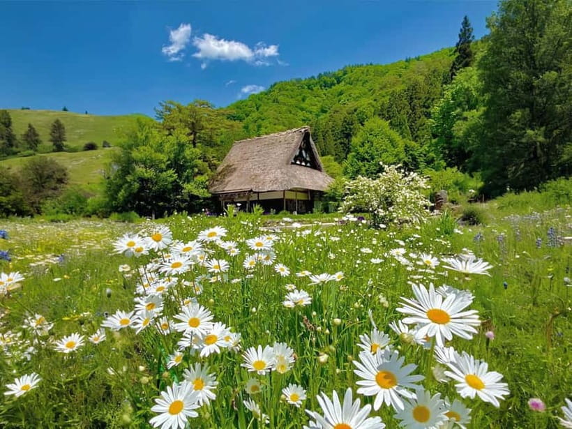 From Nagoya: Shirakawa-go UNESCO Village Day Trip w/ Pickup - Price and Value: What Your $77 Covers, and What You Add