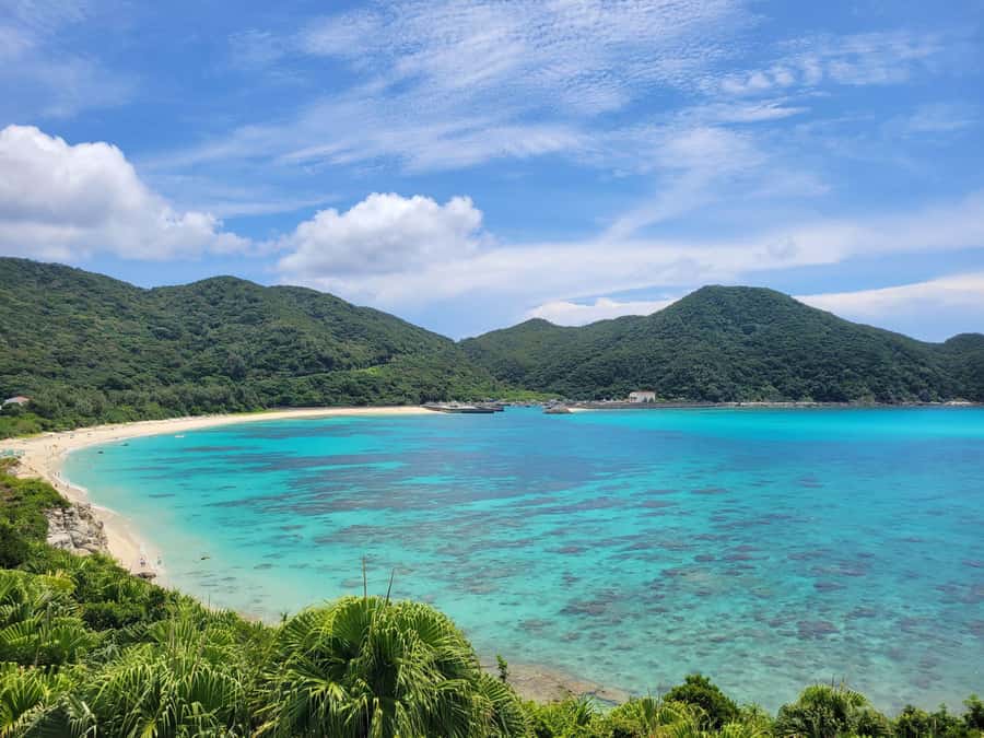 From Naha : Kerama, Tokashiki Island and Whale Watching Tour - Choose your Tokashiki option: whale watching only, glass bottom, or sea turtles