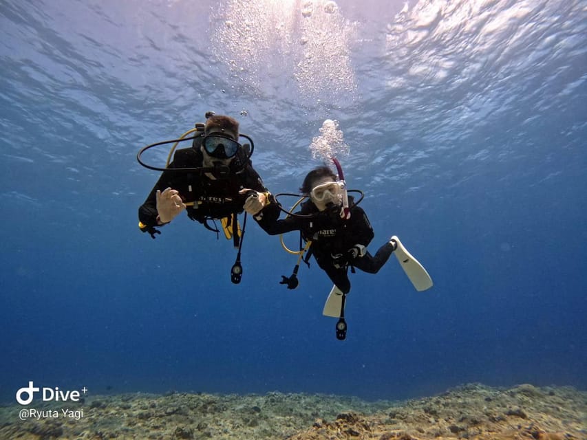 From Naha Scuba Diving Trip in Kerama(for certified divers) - Underwater photos and why they add real value