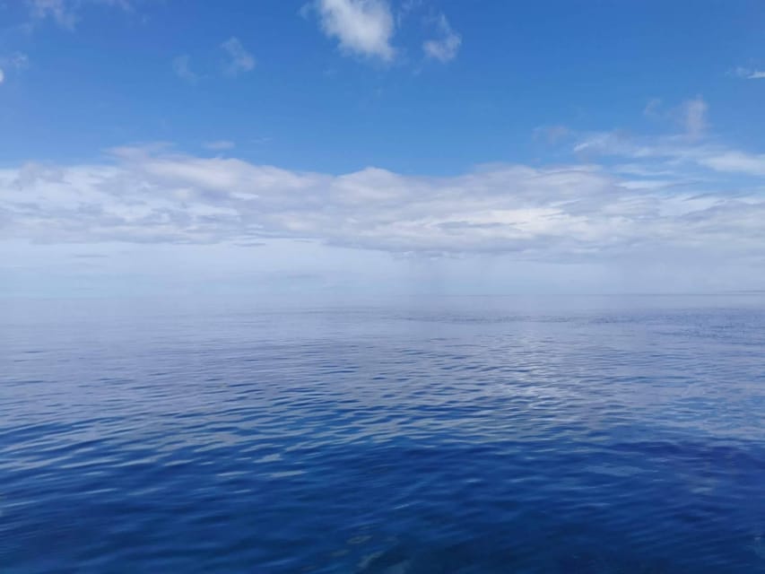 From Naha Scuba Diving Trip in Kerama(for certified divers) - Price and value: is $206 for a certified diver fair?