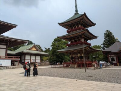 From Narita Airport: Private Layover or Transit Guided Tour