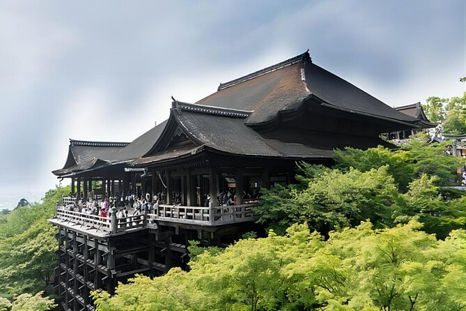 From Osaka: 10-hour Private Customizable Tour to Kyoto - Customizable actually means timing and priorities, not just choosing a checkbox