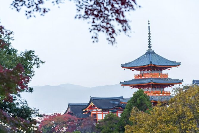 From Osaka: 10-hour Private Customizable Tour to Kyoto - Price and logistics: what $290 per person really covers