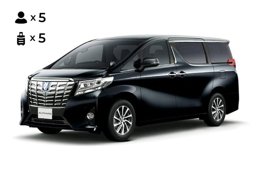 From Osaka: 10-hour Private Customized Tour to Nara - Key things that make this Osaka to Nara tour work