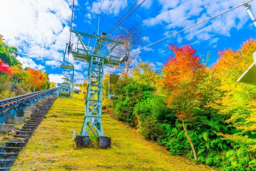 From Osaka: Amanohashidate and Ine Bay Day Trip - Lunch at Kasamatsu Park: Shabu Shabu or a Voucher, Choose Your Comfort