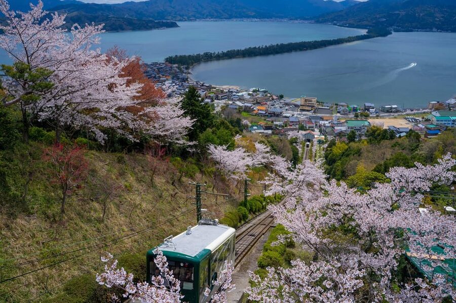 From Osaka: Amanohashidate and Ine Bay Day Trip - The Ine Bay Cruise: Where the Funaya Comes Alive
