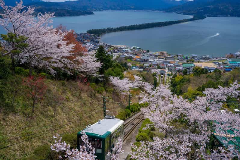 From Osaka: Amanohashidate and Ine Bay Day Trip - OCAT Pickup and the Bus Ride: The Part You Want to Be Boring