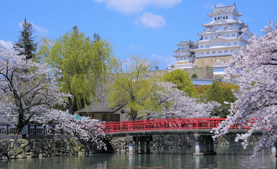 From Osaka: Himeji Castle, Arima Onsen & Mt. Rokko Day Tour - Key highlights worth clocking