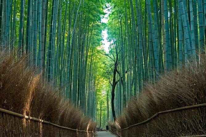 From Osaka/Kyoto: Kyoto & Nara Day Trip with Optional Lunch - Key things worth knowing before you go