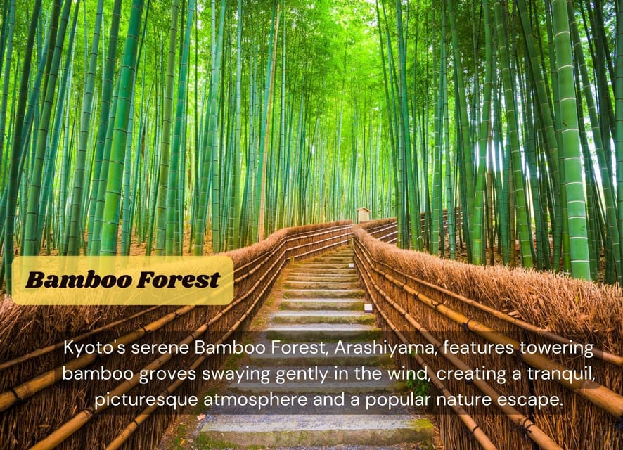 From Osaka/Kyoto: Kyoto & Nara Private Day Trip - Who This Tour Fits Best