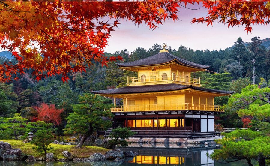 From Osaka/Kyoto: Kyoto & Nara Private Day Trip - Why a Private Van Feels Like the Right Pace in Kansai