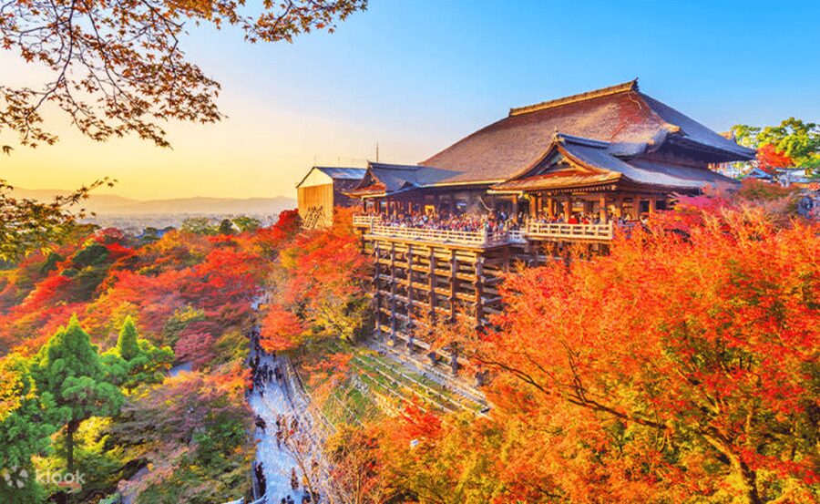 From Osaka/Kyoto: Kyoto & Nara Private Day Trip - Kinkaku-ji Golden Pavilion: Gold Leaf, Pond Reflections, and Zen-Style Timing