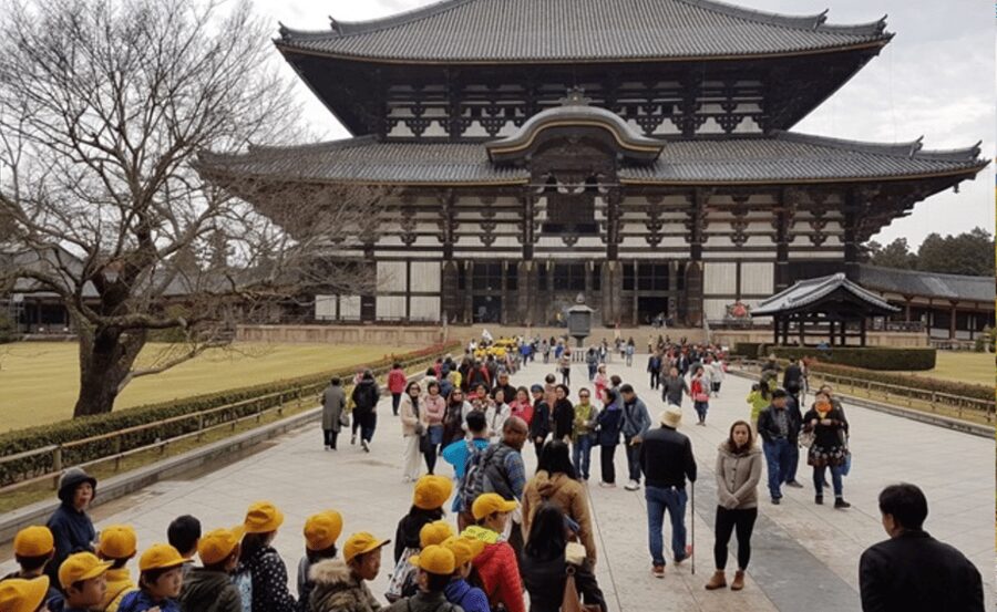 From Osaka/Kyoto: Kyoto & Nara Private Day Trip - Kasuga Taisha Lanterns: A Mystical Walk Through Donated Light