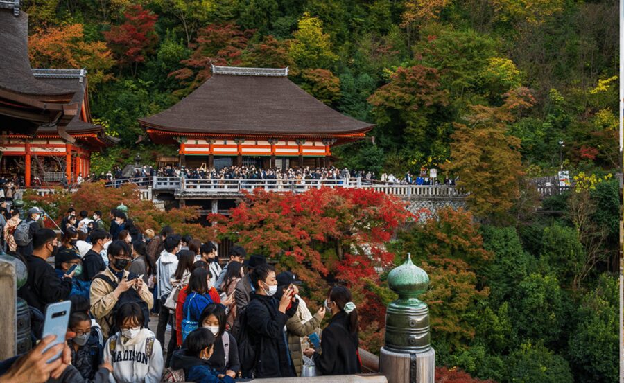From Osaka/Kyoto: Kyoto & Nara Private Day Trip - Price and Logistics: What You Get for $787 Per Group