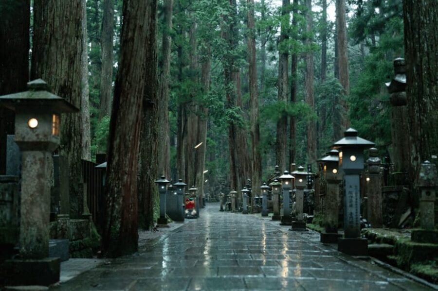 From Osaka/Kyoto:Mount Koya, Wakayama & Nachi Waterfall Trip - Two Route Choices: Wakayama and Koya, or Add Nachi Waterfall