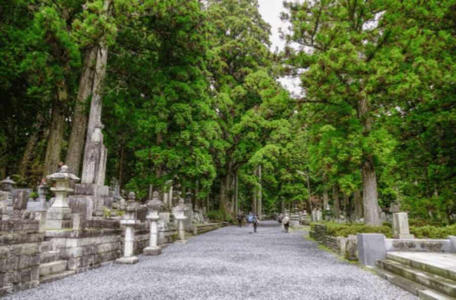 From Osaka/Kyoto:Mount Koya, Wakayama & Nachi Waterfall Trip - Kongobuji Temple: Shingon Buddhism Made Understandable