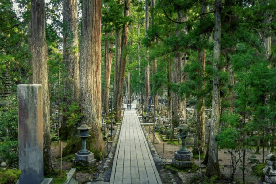 From Osaka/Kyoto:Mount Koya, Wakayama & Nachi Waterfall Trip - Okunoin Cemetery: Lantern Paths and the Quiet Weight of History