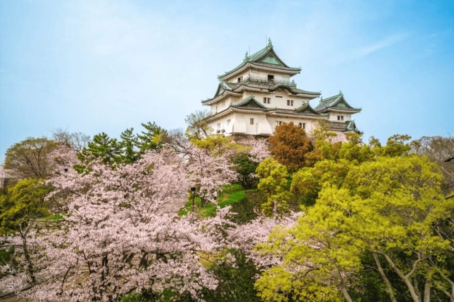 From Osaka/Kyoto:Mount Koya, Wakayama & Nachi Waterfall Trip - 12 Hours, Coach Transport, and What “Small Group” Really Means