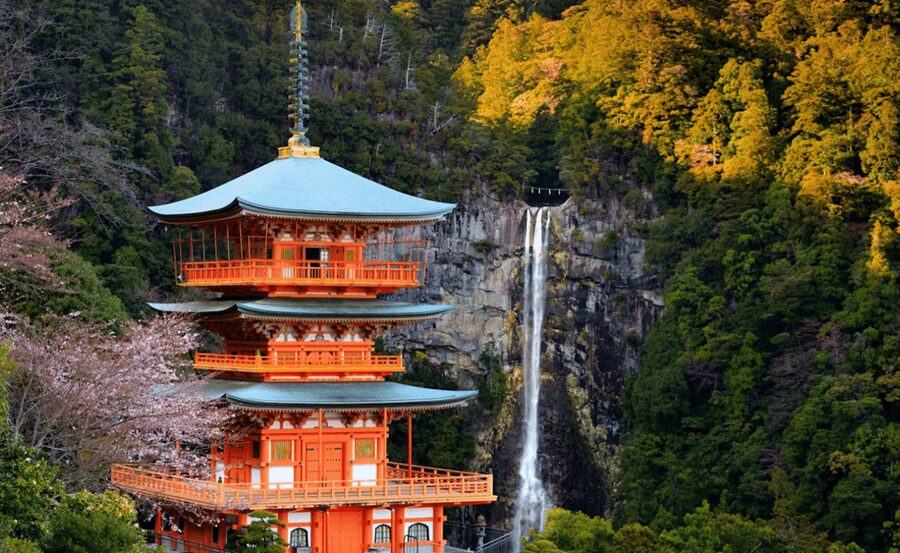 From Osaka/Kyoto: Mount Koya & Wakayama Private Day Trip . - Wakayama Castle stop: the quick history hit and a photo break