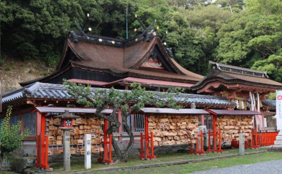 From Osaka/Kyoto: Mount Koya & Wakayama Private Day Trip . - Mount Koya first impressions at the Daimon Gate