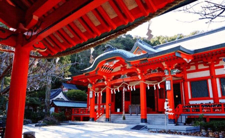 From Osaka/Kyoto: Mount Koya & Wakayama Private Day Trip . - Shoujin Ryori lunch: vegetarian Buddhist cuisine, confirm the exact plan