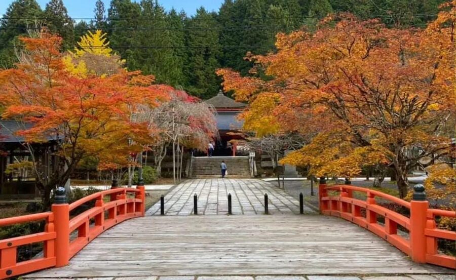 From Osaka/Kyoto: Mount Koya & Wakayama Private Day Trip . - Okuno-in, Toro-do Hall, and the Sandō path