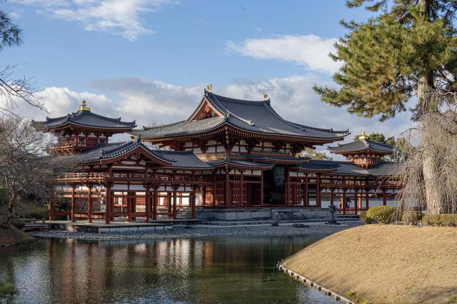 From Osaka: Kyoto & Nara Highlights Day Tour (7 attractions) - Nara Park deer and Todaiji, the morning wow factor