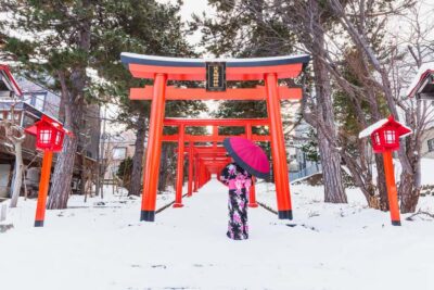 Kyoto & Nara Highlights Day Tour (7 attractions)