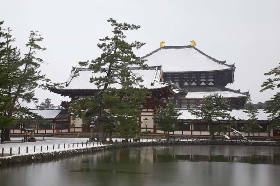 From Osaka: Kyoto & Nara Highlights Day Tour (7 attractions) - Kasugataisha Shrine, hundreds of lanterns and a calmer pace