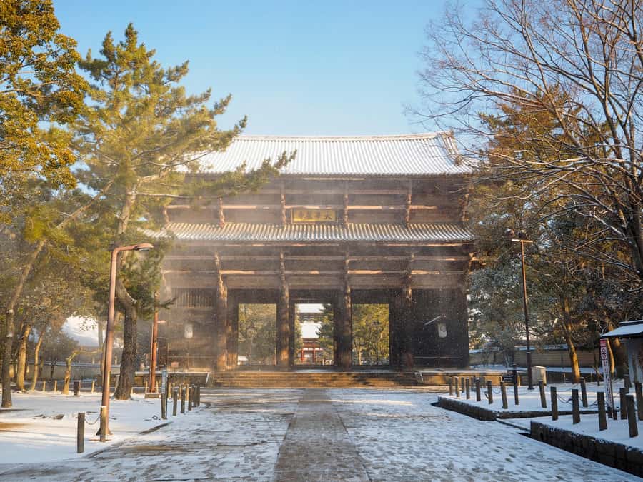 From Osaka: Kyoto & Nara Highlights Day Tour (7 attractions) - Byodoin Temple and the Phoenix Hall moment