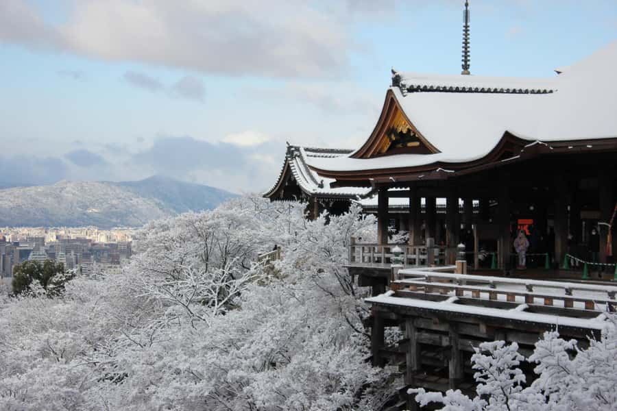 From Osaka: Kyoto & Nara Highlights Day Tour (7 attractions) - Uji Omotesando lunch break for matcha time
