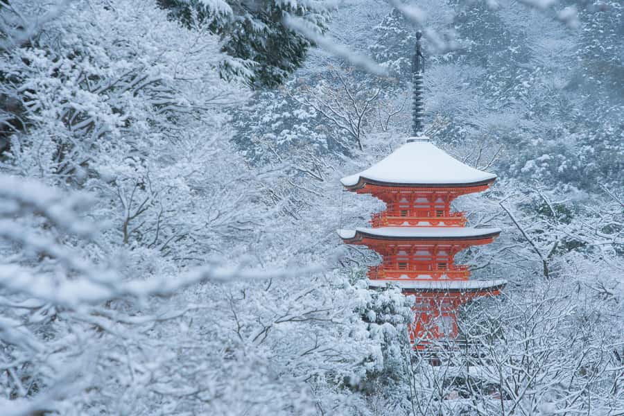 From Osaka: Kyoto & Nara Highlights Day Tour (7 attractions) - Fushimi Inari Taisha torii gates, the famous red tunnel walk