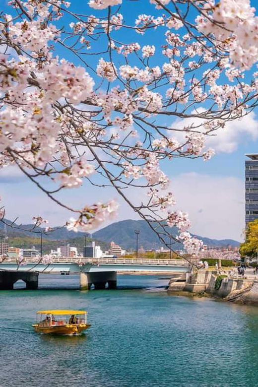 From Osaka/Kyoto/Nara: Hiroshima and Miyajima Private Tour - Who this private tour fits best, and who should skip it