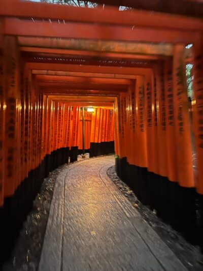 From Osaka/Kyoto:Private Kyoto-Nara Day Tour