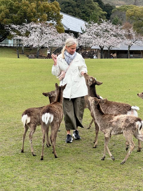From Osaka/Kyoto:Private Kyoto-Nara Day Tour - Lunch in Kyoto, when your guide chooses the timing