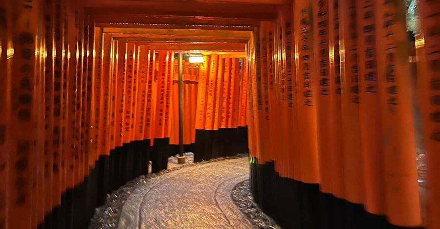 From Osaka/Kyoto:Private Kyoto-Nara Day Tour - Language support, host style, and how to get the history you want