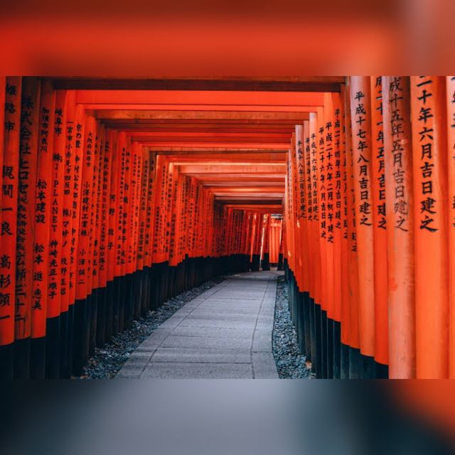 From Osaka/Kyoto: Private Kyoto & Nara Day Trip with Pickup - Nara Park: deer crackers, quick loops, and Mt. Wakakusa views