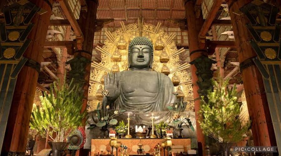 From Osaka/Kyoto: Private Kyoto & Nara Day Trip with Pickup - Fushimi Inari Taisha: a controlled walk through endless vermilion gates