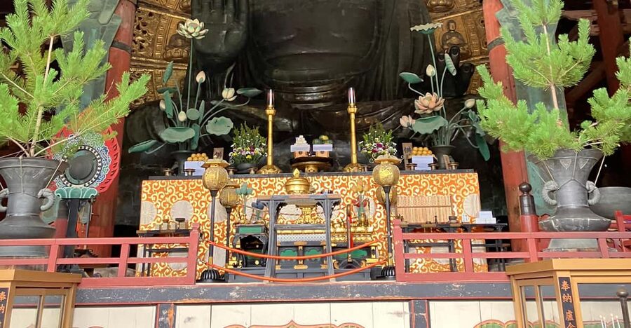 From Osaka: Nara Private Tour with Meet-Up at Your Hotel - Higashimuki Shopping Street: A Quick Stop With Local Flavor