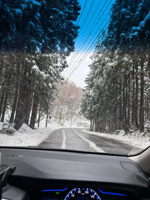 From Osaka or Kyoto: Private Shirakawa-go and Takayama Trip - Gassho-Zukuri Minka-en Outdoor Museum: understand the village before you enter it
