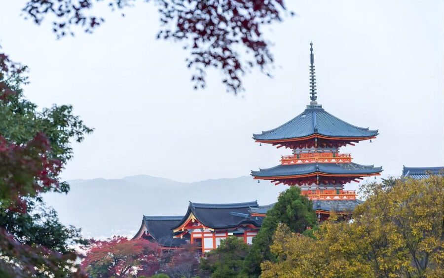 From Osaka: Private Customizable Day Tour to Kyoto - Practical tips for a smooth 10-hour Kyoto day