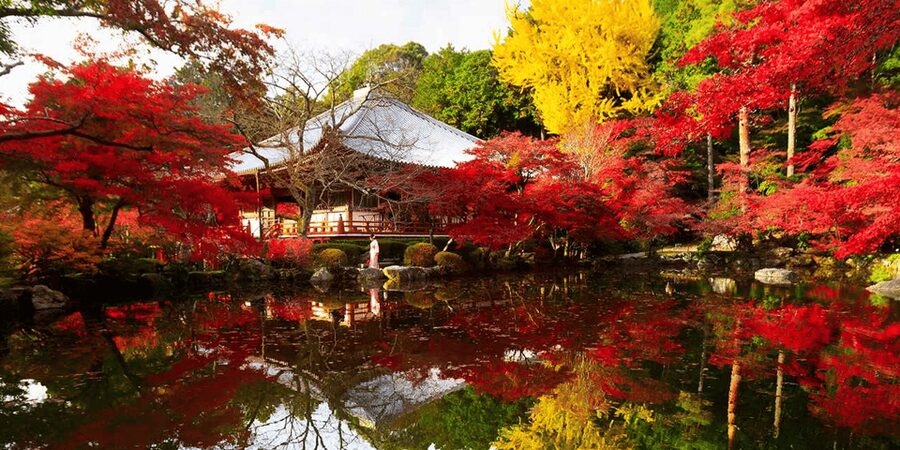 From Osaka: Private Customized Day Tour to Kyoto - Getting Picked Up in Osaka, Then Reaching Kyoto With Fewer Headaches